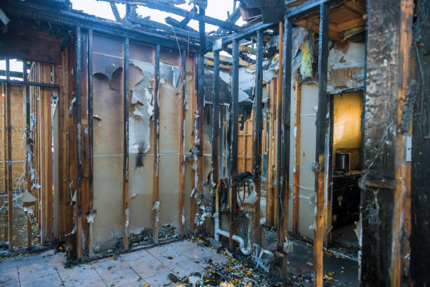 Professional Fire Damage Removal technician working in Morton, PA