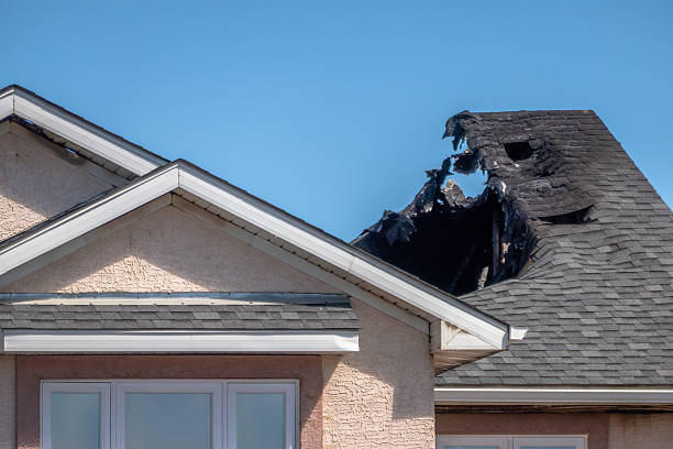Top rated local Fire Damage Removal specialists in Morton, PA